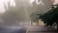وزش باد شدید در تهران از فردا تا یکشنبه آینده