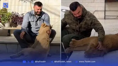 علی‌اکبری در راند اول ناک‌اوت شد!