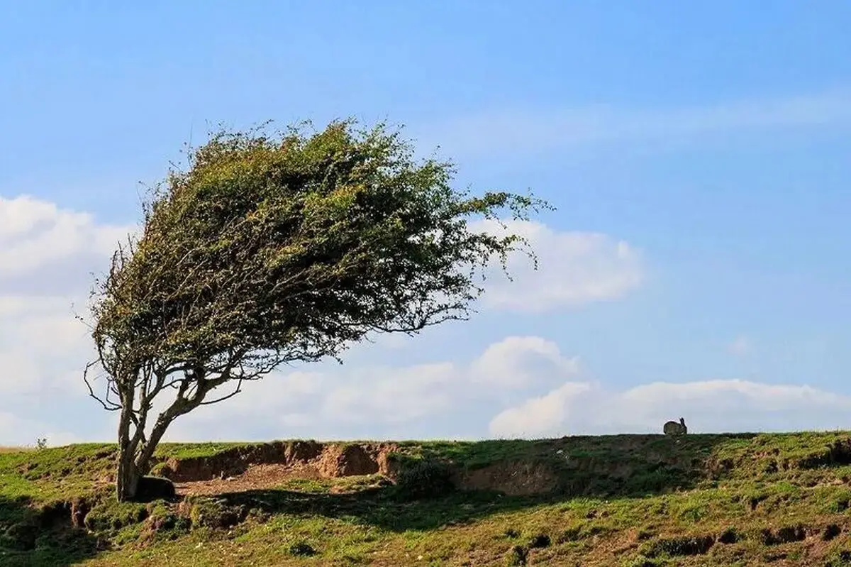 پیش‌بینی هواشناسی؛ پنج شنبه 11 اردیبهشت 1404