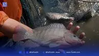 نبرد نجات یا نابودی منابع ژنتیکی