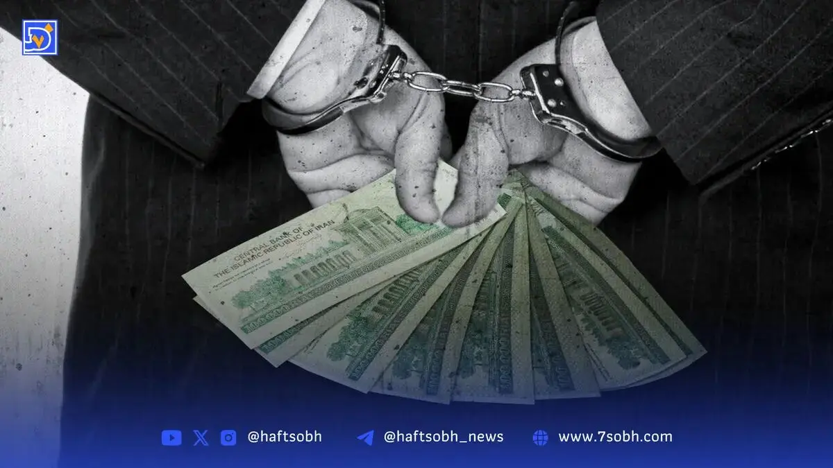 دنیای تاریک سامانه شفافیت | مبارزه با فساد، فقط با سامانه نیست