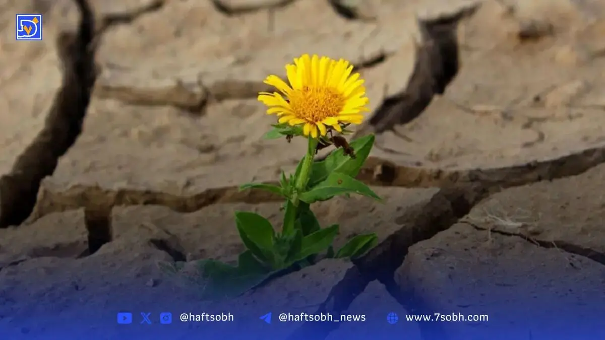 بازگشت به زندگی از مسیر مرگ استعاری