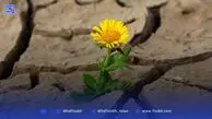 بازگشت به زندگی از مسیر مرگ استعاری