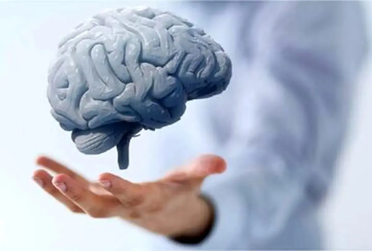آیا مغز شما به توجه نیاز دارد؟