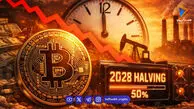 بیت کوین در نیمه راه هاوینگ؛ هولدرهای بلندمدت وارد فاز انباشت شدند!