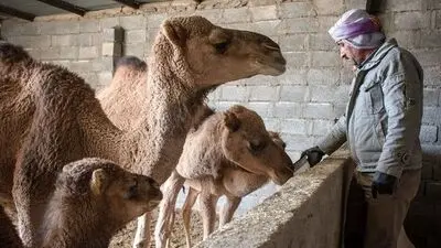 وقتی بدن هشدار می‌دهد؛ این علائم ممکن است نشانه یک مشکل جدی باشند
