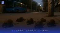 موش‌های تهران پادشاهی می‌کنند