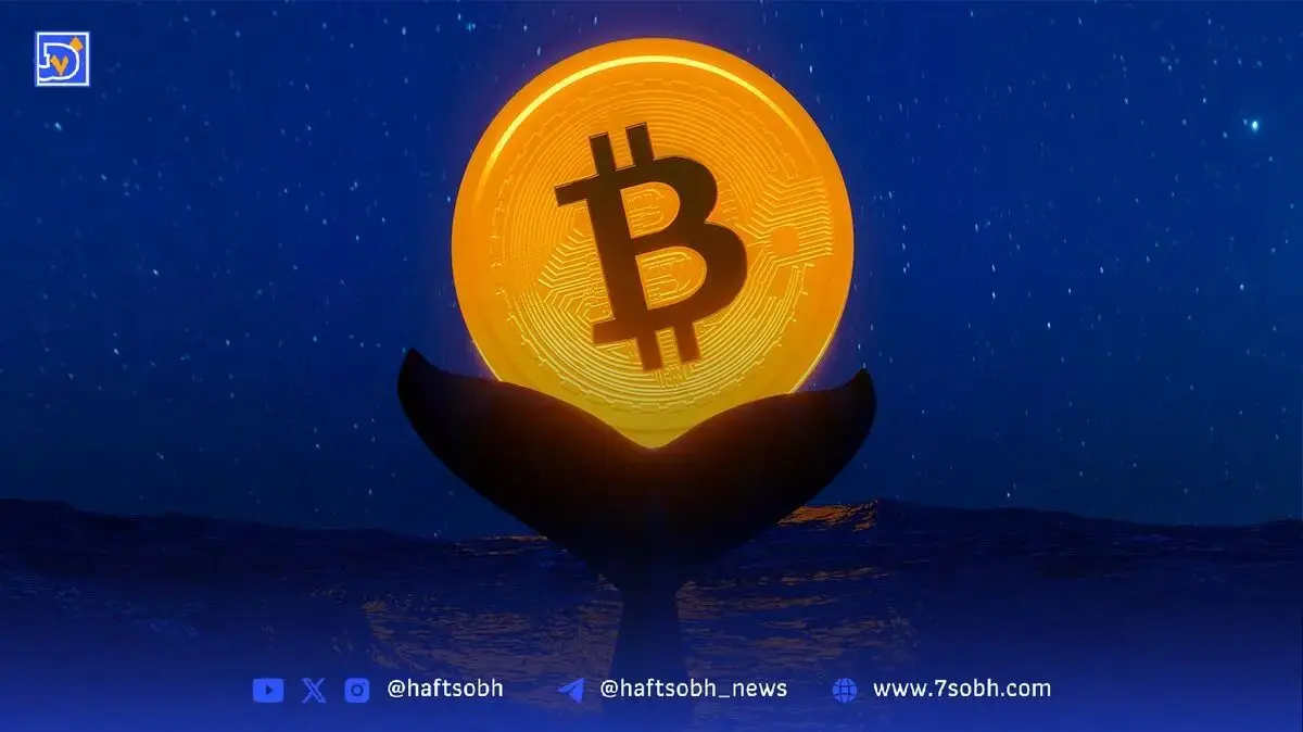 ضرر ۱۰۰ میلیون دلاری یک نهنگ کریپتو پس از سقوط بیت‌کوین