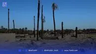 سودجویان، سایه از بم ربوده‌اند | ماجرای خشکاندن عمدی باغ‌های بم
