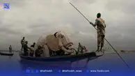 نبرد هنر برای تغییر اقلیم | مسیر گله،‌ از کنگو تا شمال دور نروژ