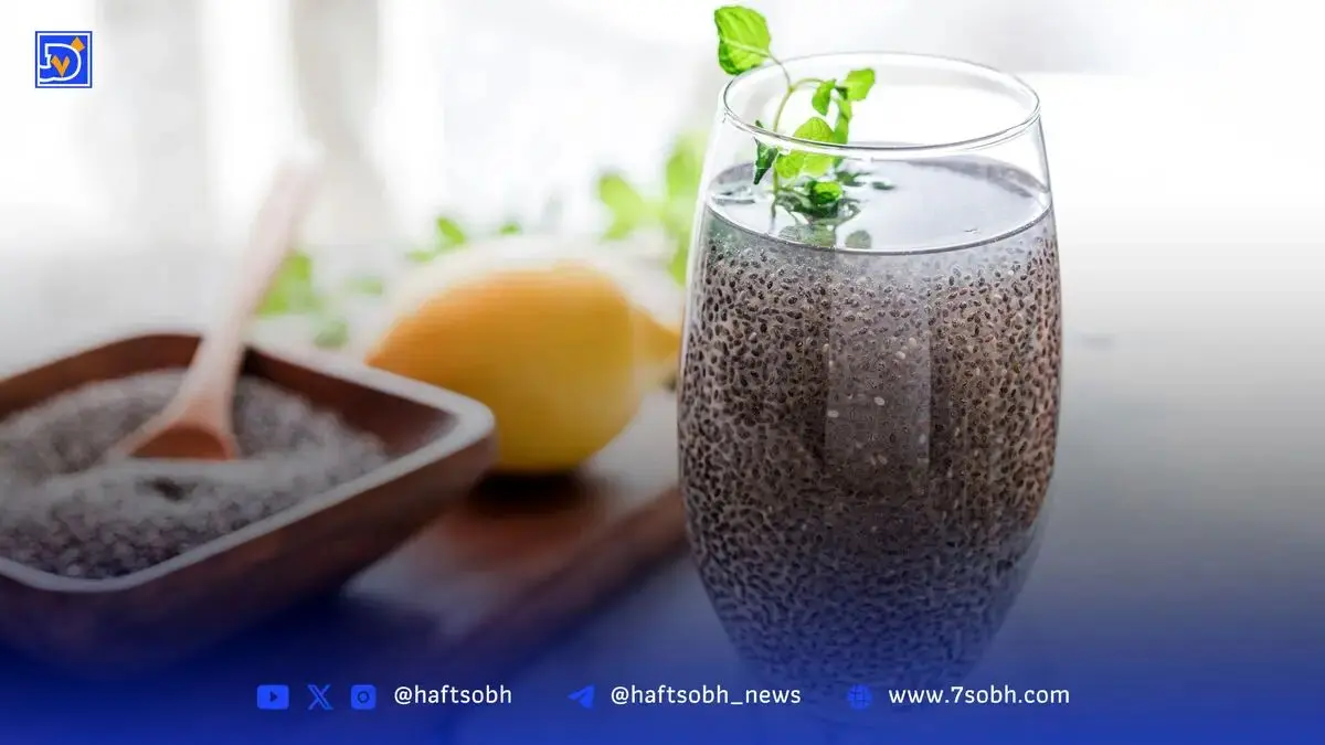 دانه‌هایی برای رفع عطش | خاکشی محبوب‌تر است یا تخم شربتی؟