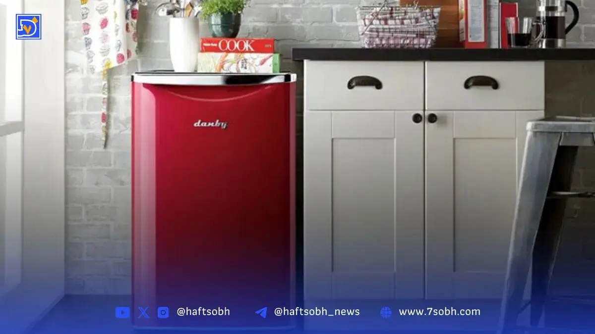 تجرد؛ خانه کوچک یخچال کوچک
