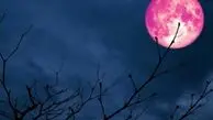 ماه صورتی، پدیده‌ای نادر در آسمان شب تهران؛ امشب چشم از آسمان برندارید