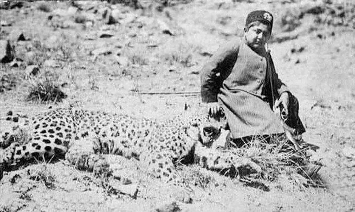 روزگاری که تهران پلنگ داشت