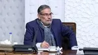 تصویر لو رفته علی شمخانی و پسرش در خودروی میلیاردی فولکس
