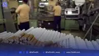 یک نخ سیگار و هزار درد