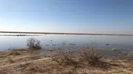 محیط زیست وجود آرسنیک و سیانور در گردوغبار تالاب بندعلی‌خان را تکذیب کرد