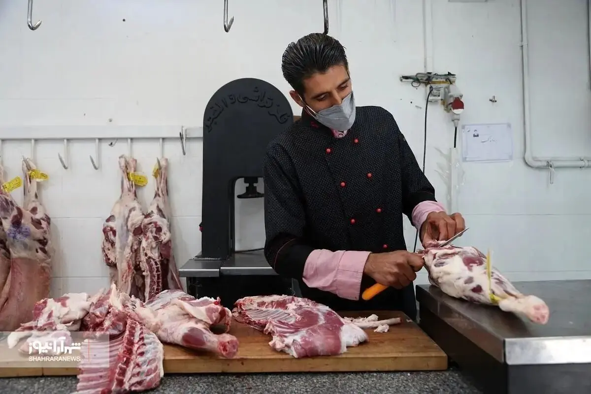 تاثیر خشکسالی بر تولید دام؛ آیا قیمت گوشت قرمز گران می‌شود
