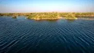 انتشار دود از ۲۵ هزار هکتار از تالاب هورالعظیم