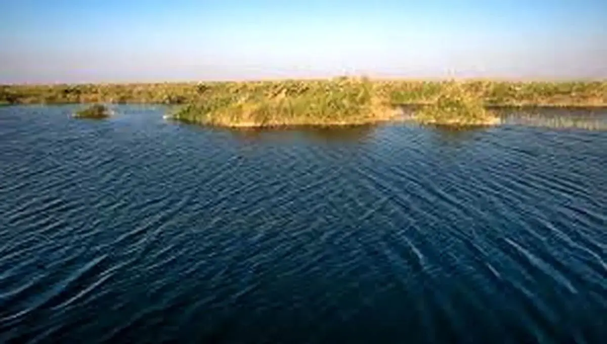 انتشار دود از ۲۵ هزار هکتار از تالاب هورالعظیم