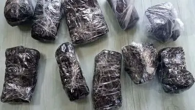 کشف ۵۴۵ کیلو تریاک در اتوبان آزادگان تهران/ قاچاقچی سابقه‌دار دستگیرشد