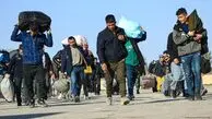توزیع رایگان برنج و گوشت برای افغان‌ها