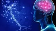 رتبه ایران در جدیدترین رتبه‌بندی IQ کشورها