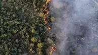 مهار آتش‌سوزی در میانکاله و پارک ملی کیاسر