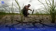 سرزمین بی‌برف، آسمان بی‌باران | دمای ۵۰ درجه در ایران؛  زنگ خطر جدی