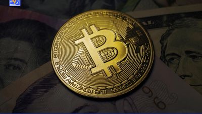 هشدار مدیرعامل Canary Capital: بیت‌کوین تا ۲۷٪ رشد دارد و سپس وارد بازار نزولی می‌شود