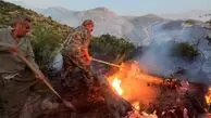 آتش سوزی در پارک ملی تندوره؛ ۲۰ هکتار خاکستر شد