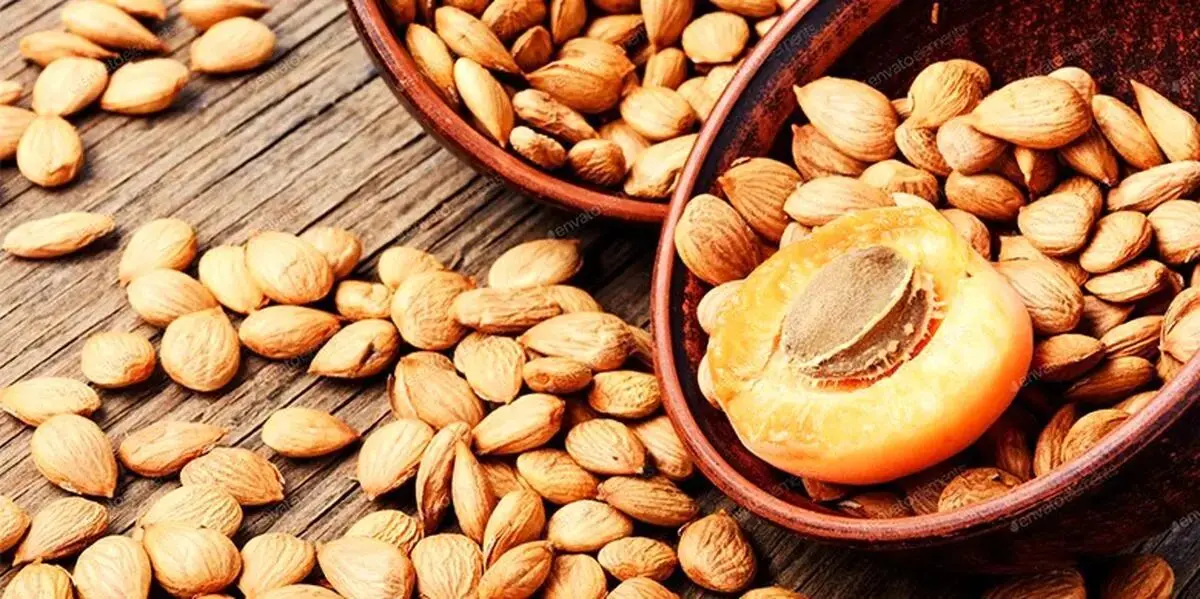 هسته زردآلو را بخوریم یا نه؟