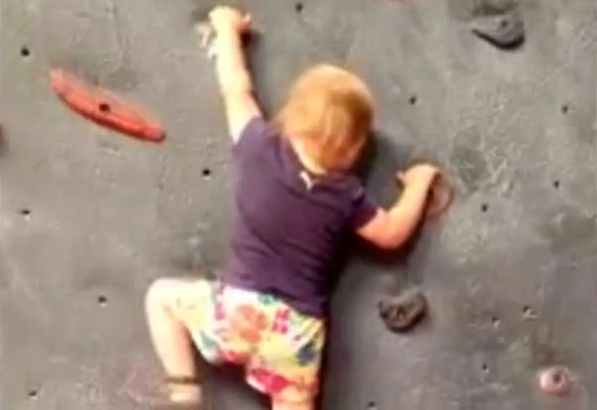 ویدئو / سنگ نوردی کودک ۱۹ ماهه بدون طناب
