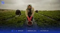 آب تهران چگونه هدر می‌رود؟
