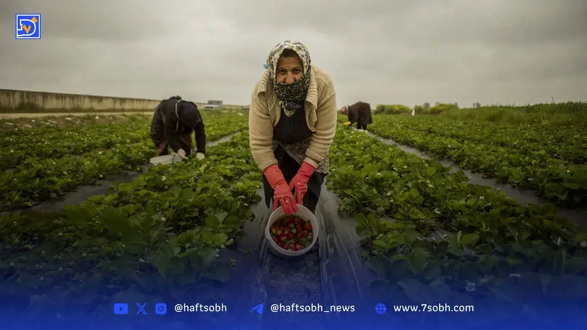 آب تهران چگونه هدر می‌رود؟