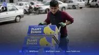 در طلب میوه ارزا‌ن؛ از مغازه‌دار تا وانتی