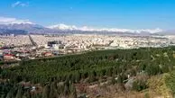 خطر سوسک‌های چوب‌خوار برای بوستان سرخه‌حصار