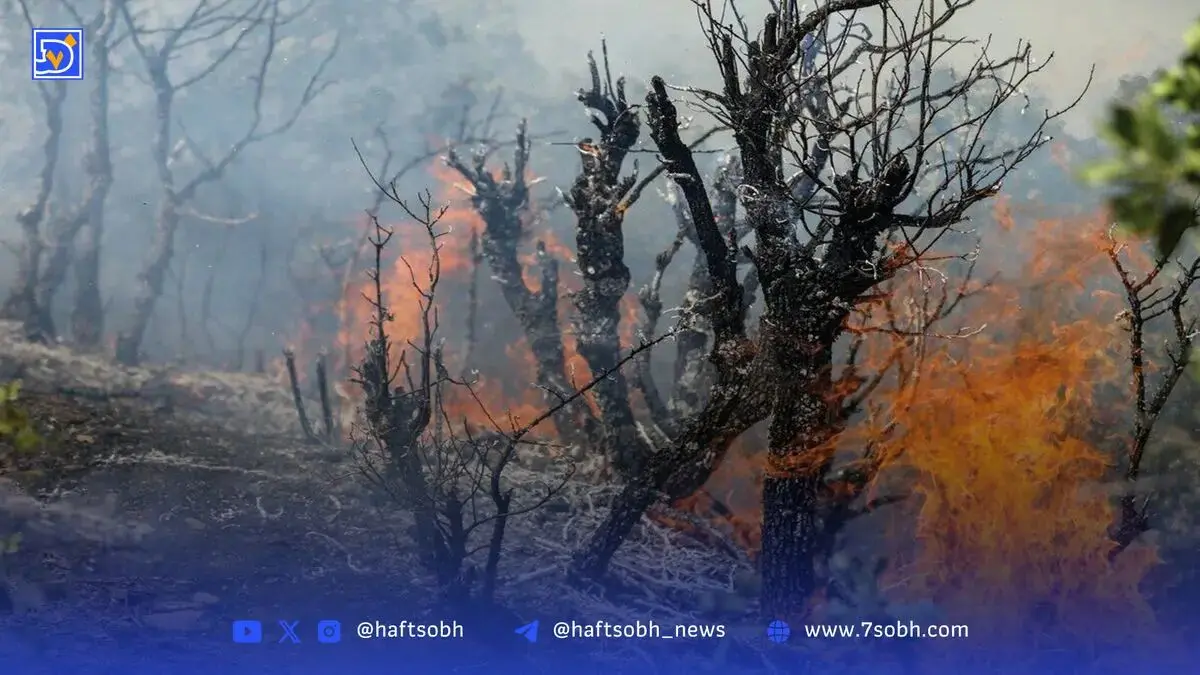 آتش سوزی در ارتفاعات بال سبز ممسنی مهار شد