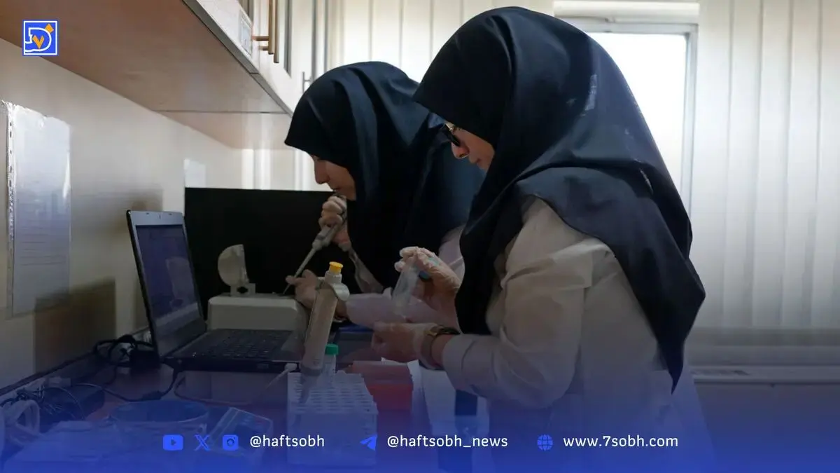 قهر زنان و افول بازار کار