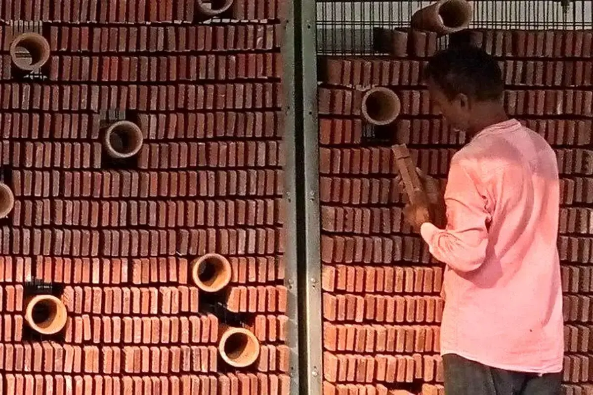 “مهندسیِ الهام‌گرفته از طبیعت؛ خنک‌کننده‌ای نوآورانه با ساختارِ لانه مورچه‌ها”