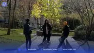 پدیده داگ‌ واکرها؛ از سگ‌های سرابی تا خیابان‌های نیاوران