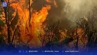 آتش سوزی پارک ملی لار