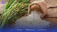 قیمت برنج هاشمی، طارم و صدر اعلام شد