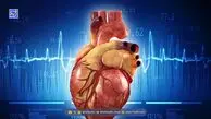 کدام چربی‌ها برای قلب شما مفیدند؟