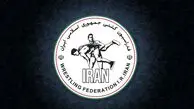 پاداش 4 میلیاردی فدراسیون کشتی برای مدال طلای جهانی 2025