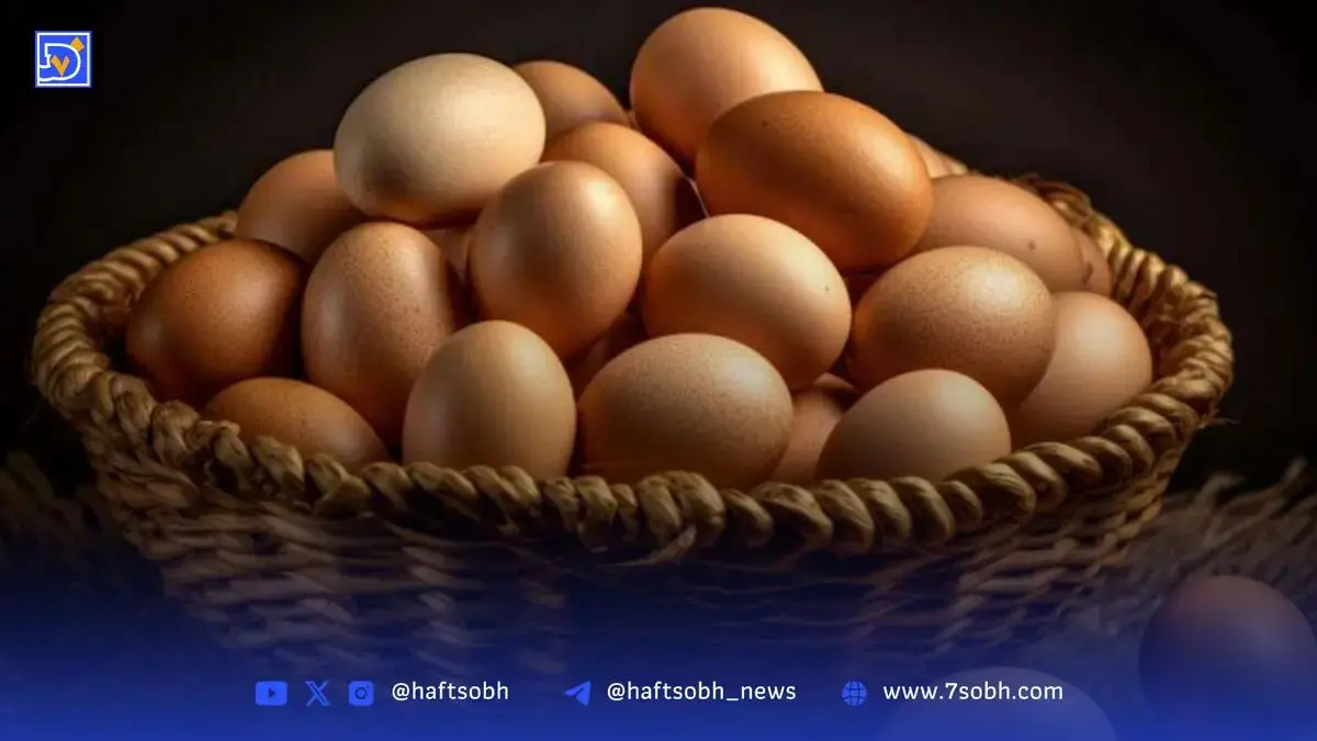 فواید تخم مرغ