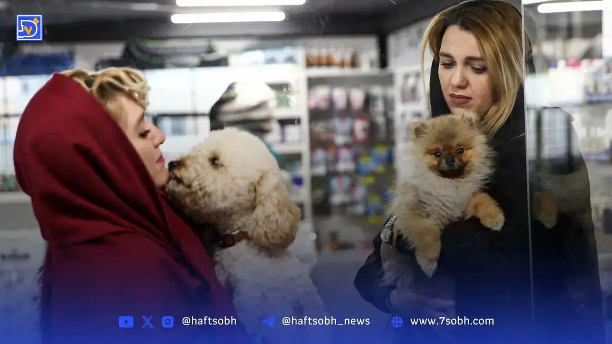 هزینه نگهداری حیوانات خانگی