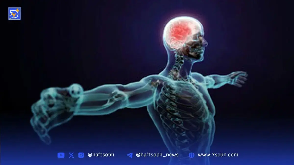 هزینه ساخت یک انسان ۷۰ کیلوگرمی