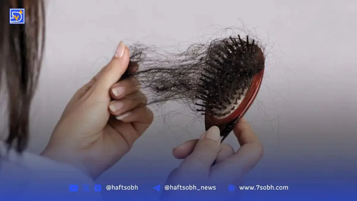 راز جلوگیری از ریزش مو