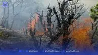 مهار آتش سوزی در دره گنج نامه همدان